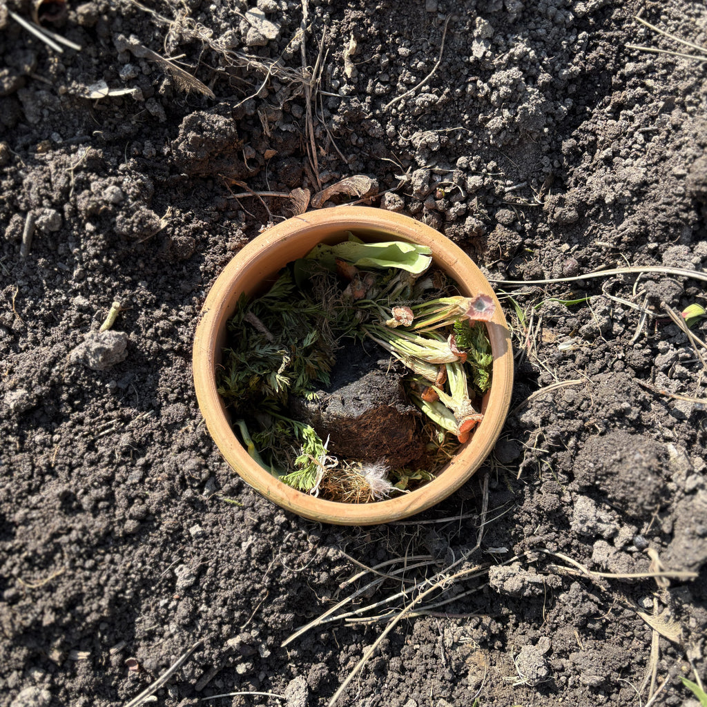 pot de compostage pour lombrics